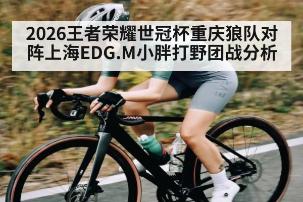 2026王者荣耀世冠杯重庆狼队对阵上海EDG.M小胖打野团战分析